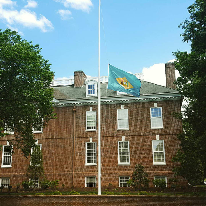 Delaware State Flag Waving