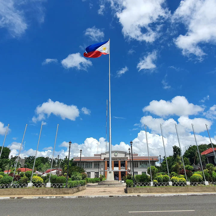Philippines Filipino Philippine Flag waving