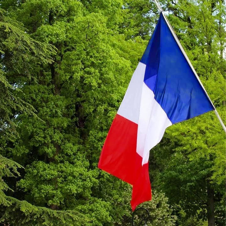 France French Flag hanging