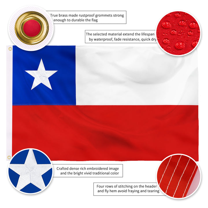 Chilean Flag details