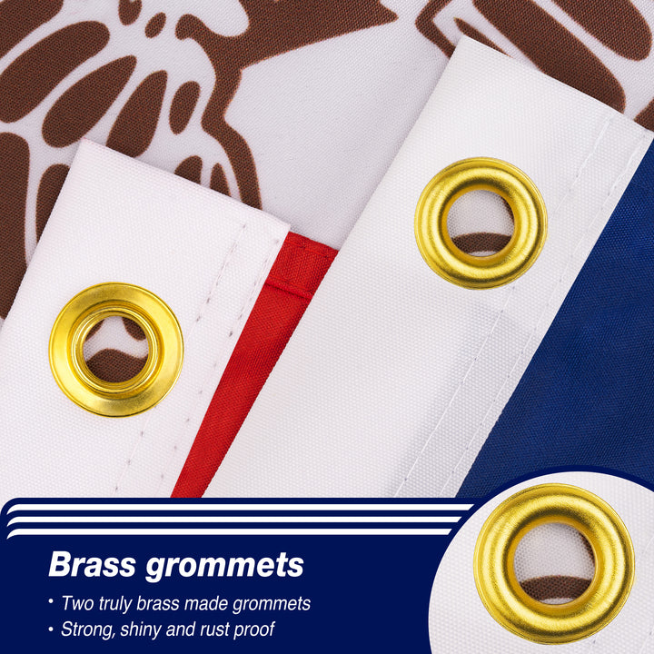 Iowa State Flag Brass Grommets
