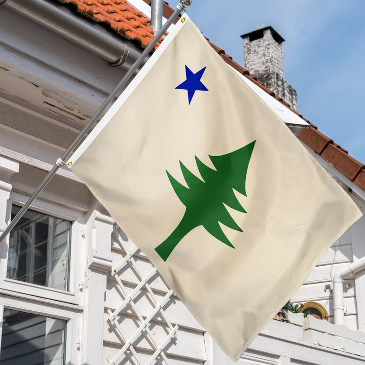Original Maine 1901-1909 flag hanging