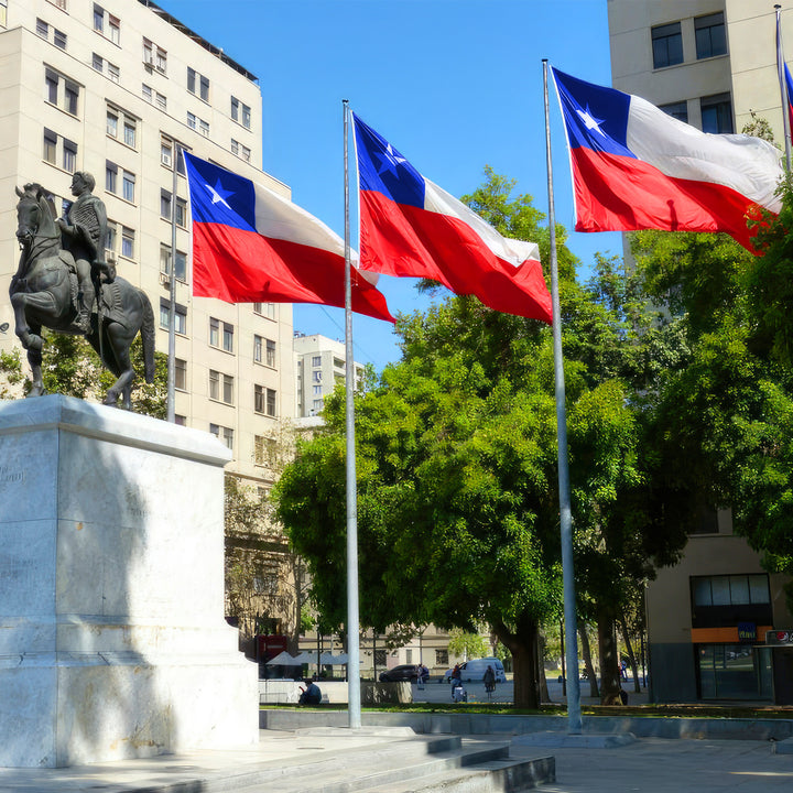 Chilean Flag waving